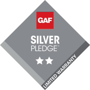 Silver-Pledge